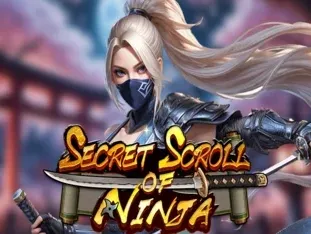 Secret Scroll Of Ninja thumbnail