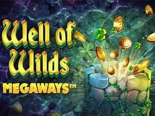 Well Of Wilds Megaways game thumbnail